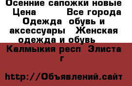 Осенние сапожки новые › Цена ­ 600 - Все города Одежда, обувь и аксессуары » Женская одежда и обувь   . Калмыкия респ.,Элиста г.